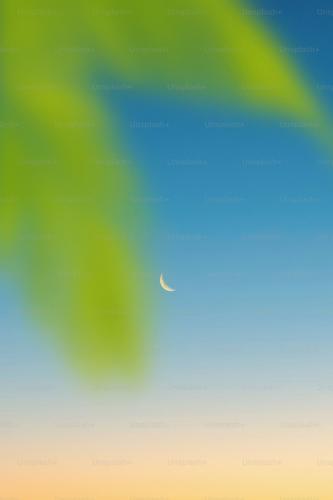 教师普巴:期望更多人反哺家园